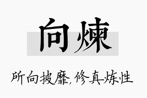 向炼名字的寓意及含义