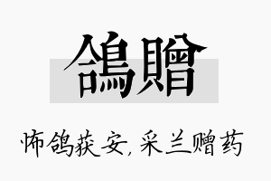 鸽赠名字的寓意及含义