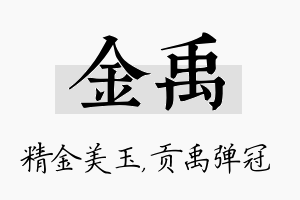 金禹名字的寓意及含义