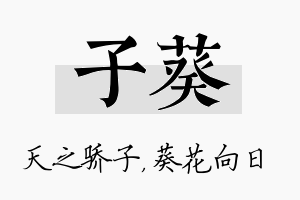 子葵名字的寓意及含义