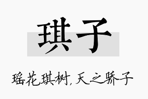 琪子名字的寓意及含义