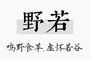 野若名字的寓意及含义