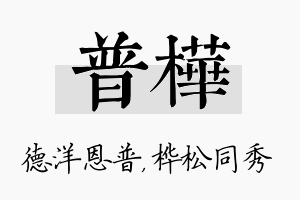 普桦名字的寓意及含义