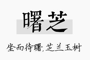 曙芝名字的寓意及含义