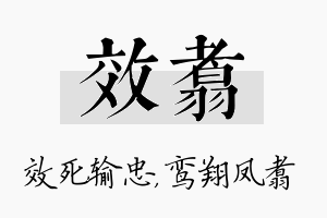 效翥名字的寓意及含义