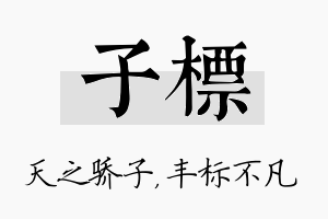 子标名字的寓意及含义