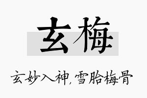 玄梅名字的寓意及含义