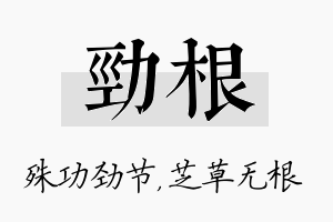 劲根名字的寓意及含义