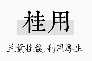 桂用名字的寓意及含义