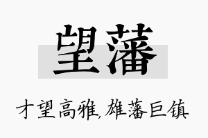 望藩名字的寓意及含义