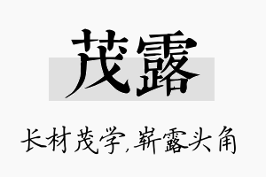 茂露名字的寓意及含义