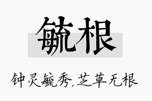 毓根名字的寓意及含义