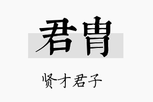 君胄名字的寓意及含义