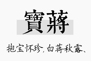 宝蒋名字的寓意及含义