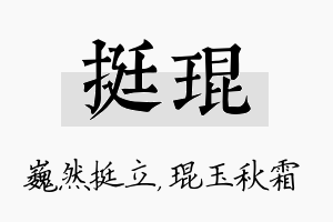 挺琨名字的寓意及含义