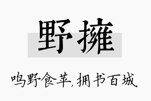 野拥名字的寓意及含义