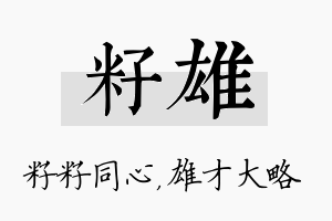 籽雄名字的寓意及含义