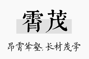 霄茂名字的寓意及含义