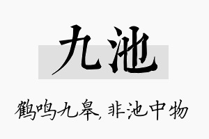 九池名字的寓意及含义