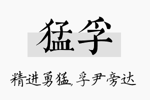 猛孚名字的寓意及含义