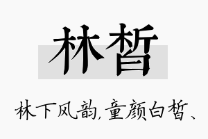 林皙名字的寓意及含义