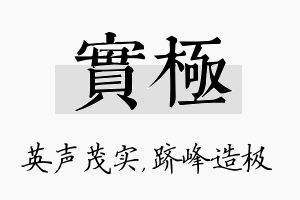 实极名字的寓意及含义