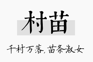 村苗名字的寓意及含义