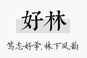 好林名字的寓意及含义