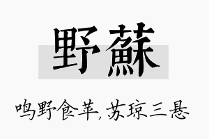 野苏名字的寓意及含义