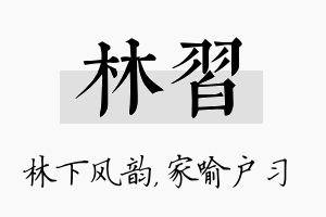 林习名字的寓意及含义