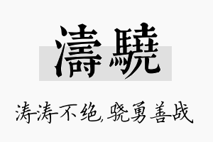 涛骁名字的寓意及含义