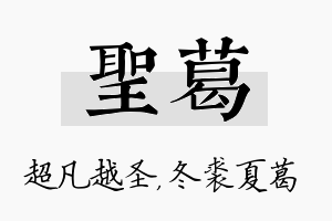 圣葛名字的寓意及含义