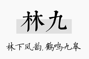 林九名字的寓意及含义