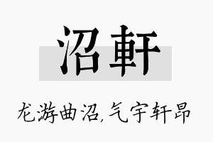 沼轩名字的寓意及含义