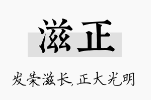 滋正名字的寓意及含义