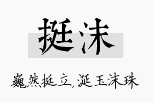 挺沫名字的寓意及含义