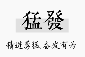 猛发名字的寓意及含义