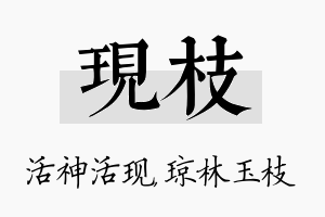 现枝名字的寓意及含义