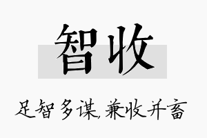 智收名字的寓意及含义