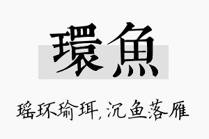 环鱼名字的寓意及含义