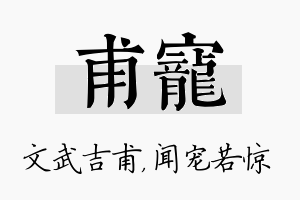 甫宠名字的寓意及含义