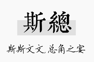 斯总名字的寓意及含义