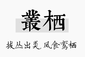 丛栖名字的寓意及含义