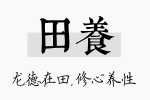 田养名字的寓意及含义