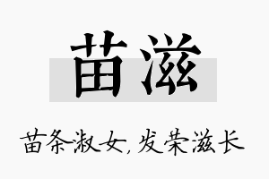 苗滋名字的寓意及含义