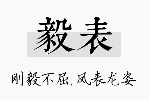 毅表名字的寓意及含义