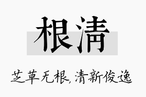 根清名字的寓意及含义