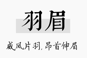 羽眉名字的寓意及含义