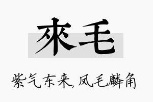 来毛名字的寓意及含义