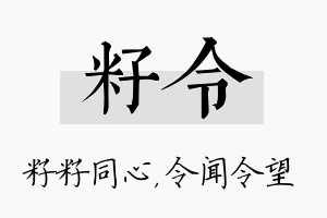 籽令名字的寓意及含义